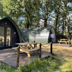 Nuthatch Cabin at Cloudshill Glade