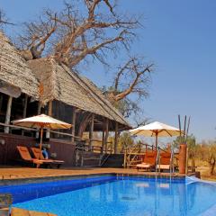 Tarangire Treetops