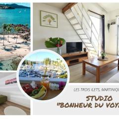 Studio idéal couple, à 200m de très belles plages pointe du bout!