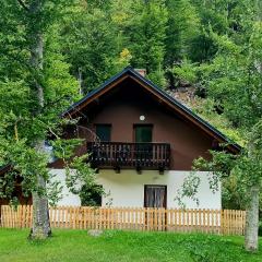 Radovna Mountain Valley Cottage