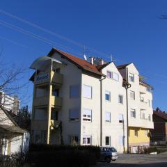 Apartments and rooms with WiFi Zagreb - 15959