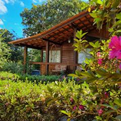 Casa 4 dorms 2 suites - localização perfeita no centrinho e rodeada de natureza