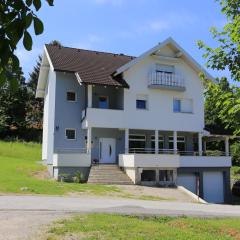 Apartments for families with children Slunj, Plitvice - 17416