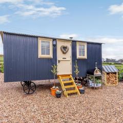 The Lambing Shed