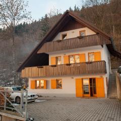 Holiday Home Zelenka