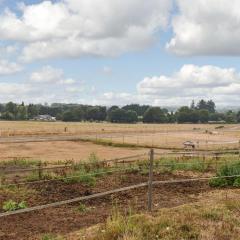 South Wing Coldharbour Park Farm