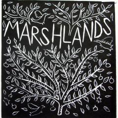 Marshlands Apartment