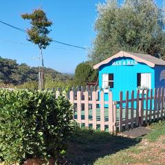 Casa Octavio