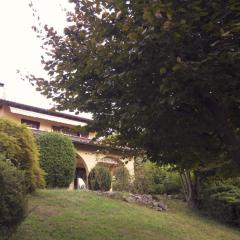 La tua villa sul Lago - Casa Kollegger