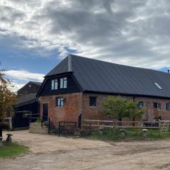 Bluebells Farmstay