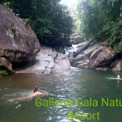 Gallene Gala Nature Resort