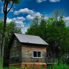 Juniper Cabin- Waterfront retreat on Mosque Lake