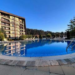 Cosy studios with mountain view near Bansko