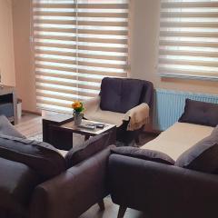 Apartman Banja Koviljaca