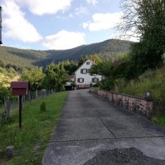 Gîte des abeilles du Kohlberg