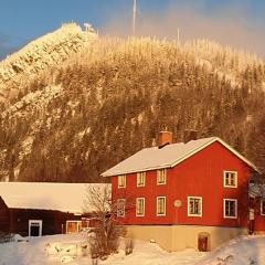 Funäsdalen Högen 6