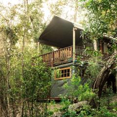 Fernhill Tented Treehouses