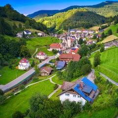 Steepleview House, Schwarzwaldblick Apartment - spacious & peaceful