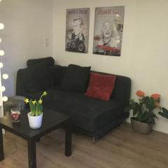 Studio, 21 minutes by bus to downtown Amsterdam