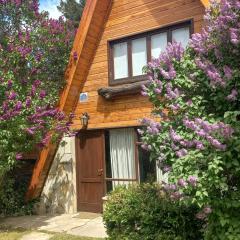 Bungalow de Montaña