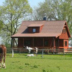 gemütliches Ferienhaus in der Natur