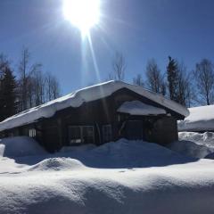 StugaNäraKungsberget - mysig stuga med kamin, grillkåta och vedbastu