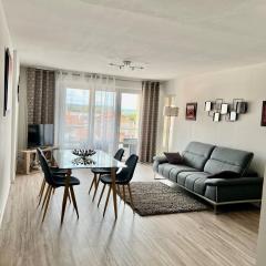 Roanne-centre appartement