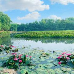 Cu Chi Boutique Farmstay