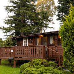 Mountain View Log Cabin in Snowdonia nr Coed y Brenin