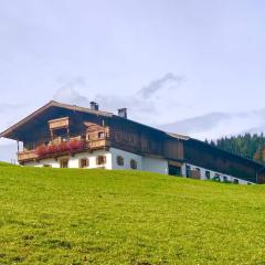 Farmhouse in Hochfilzen with mountain view