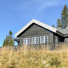 Stunning Home In Sjusjøen With Sauna