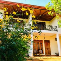 Hotel mango tree nearest Adam's peak