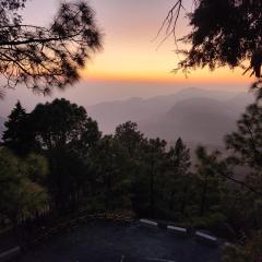 Mountain Golden Ray