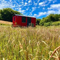 Shepherds Hut Glamping