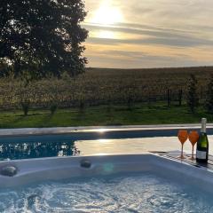 Best view, pool and spa on the Champagne vineyard