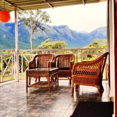 The Wild Fo'rest Resorts