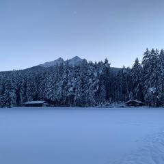 Waldchalet am Eichhof