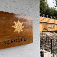 Haus Bergquell App 2