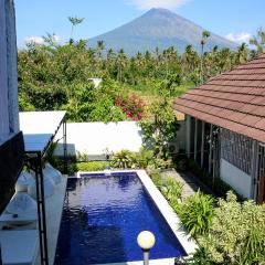 BALI AMED FEEL HOME VILLA