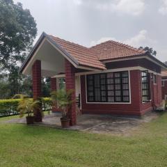 Dubare Inn Coorg