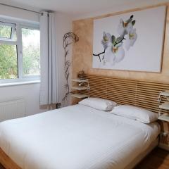 Beautiful and peaceful large double bedroom near Olympic Park in Stratford London