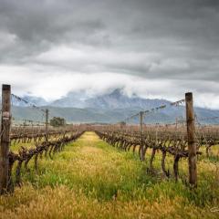 In De Vines - Chenin - Farmstay