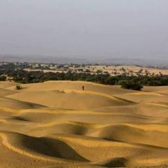 Sunny Desert Camp