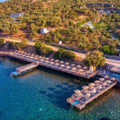 Assos Dionysos Hotel Adults Only 18