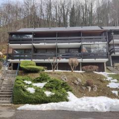 Studio Cauterets, 1 pièce, 4 personnes - FR-1-234-272