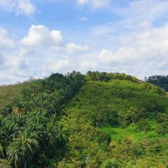 KLIA EHSAN Residence Sepang Nilai Greenery 8 PAX Air-CON