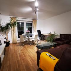 Gorgeous apartment + attentive host + free parking