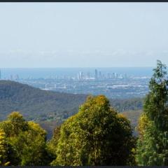 Spectacular Gold Coast Skyline Views