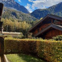 Appartement Chamonix-Mont-Blanc, 2 pièces, 4 personnes - FR-1-517-65