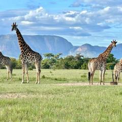 Vilagama Game Lodge